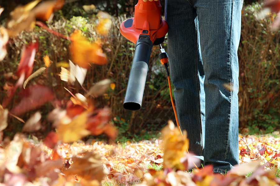 Clearing leaves from the lawn in autumn